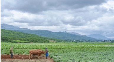 “閏二月，兩不碰，三要做，忌兩事”具體說的是什麼？事事順利添福氣！