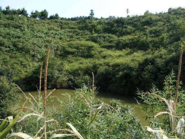 最全墓地風水和喪葬禁忌 ,弄明白了子孫滿堂,富甲一方!