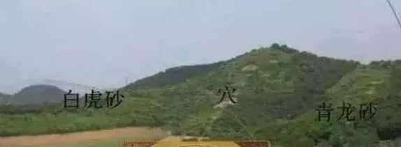 家運不順？趕快看看祖墳是否出現了這些問題！