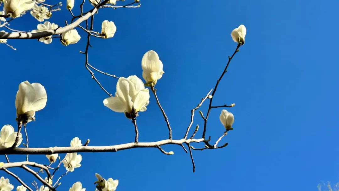 南懷瑾：每個月的這幾天是天地交合一陽初生的時候，別忽視了