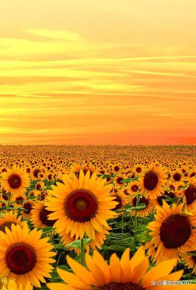 如果你的朋友八字中有這種特點請趕緊遠離他