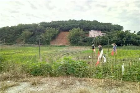 農村房屋陽宅三要指什麼？陽宅風水吉凶取決於哪些方面？