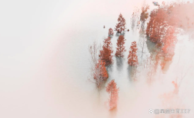 即使忌神年，也有人，可以賺的盆滿缽滿，財利豐厚