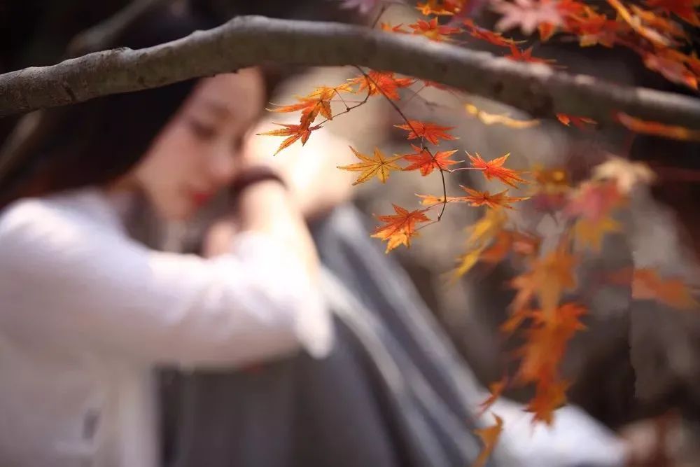 好漂亮的一段話,這就是人生真諦