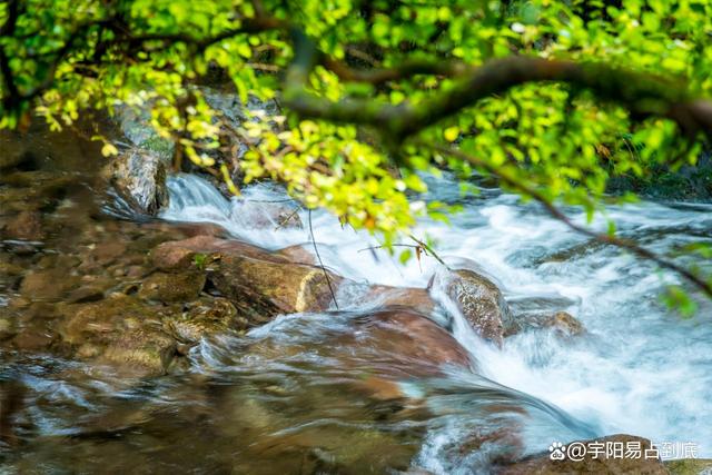 立春至丨癸卯黑兔拉開帷幕,你做好准備了嗎?