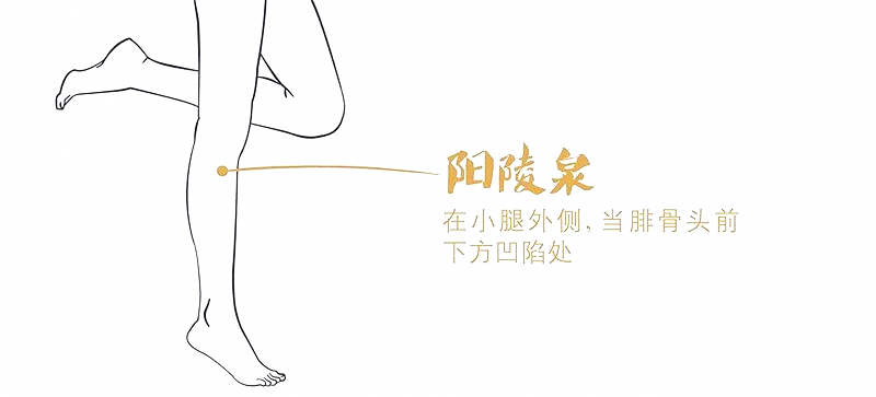 奇經八脈：精氣會聚的八個腧穴，可調全身！一定要記好！