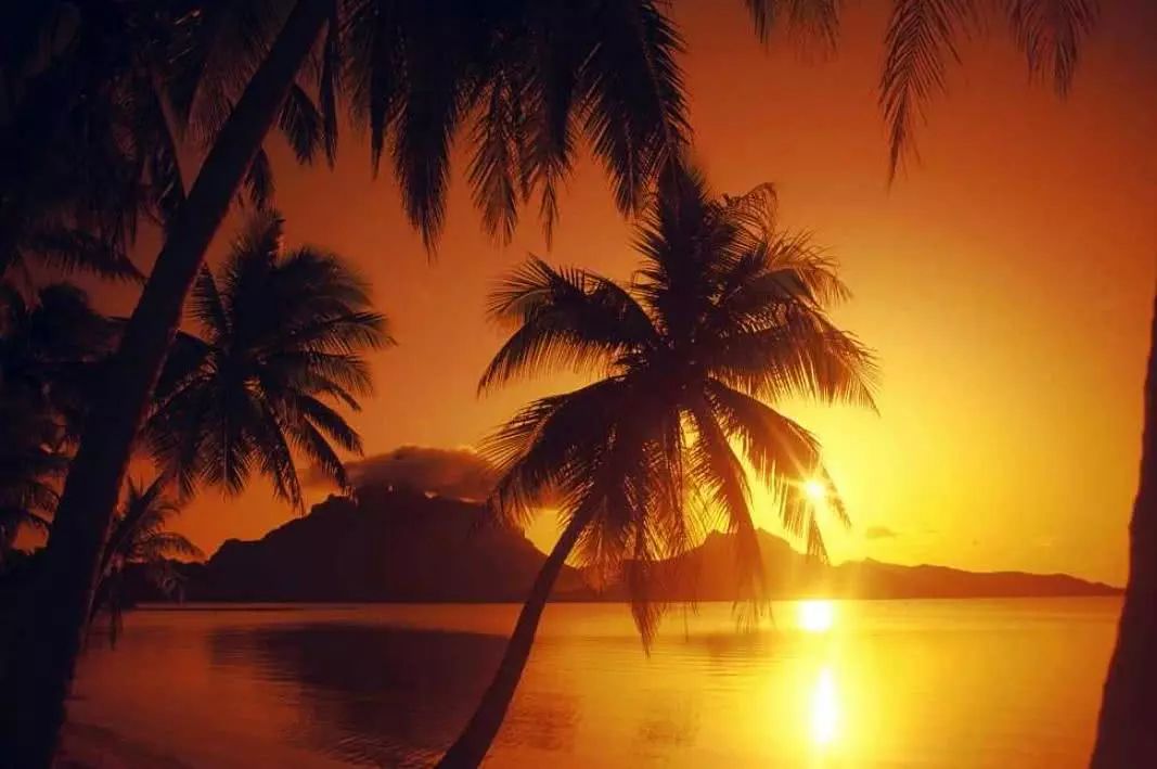 下周這3大屬相苦盡甘來，有錢沒煩惱，好日子望不到頭！