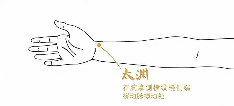 奇經八脈：精氣會聚的八個腧穴，可調全身！一定要記好！