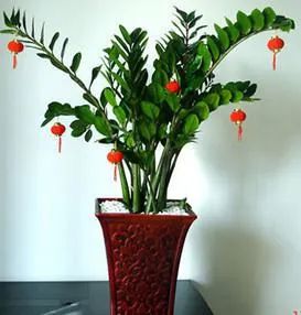 家居如何布局更「吸金」？