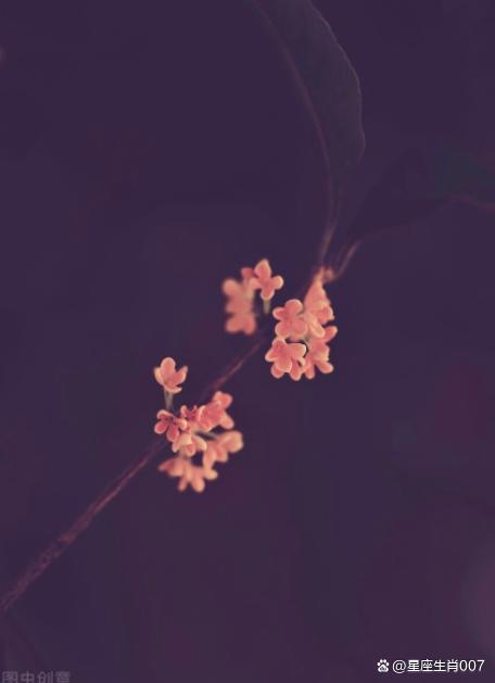 祿神空亡，福祿減半