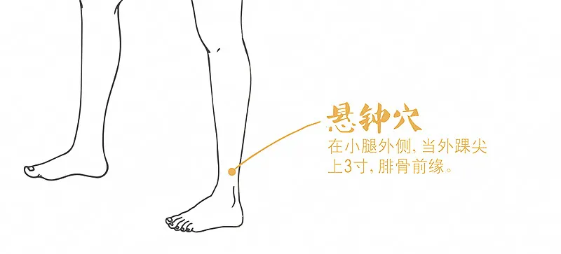 奇經八脈：精氣會聚的八個腧穴，可調全身！一定要記好！