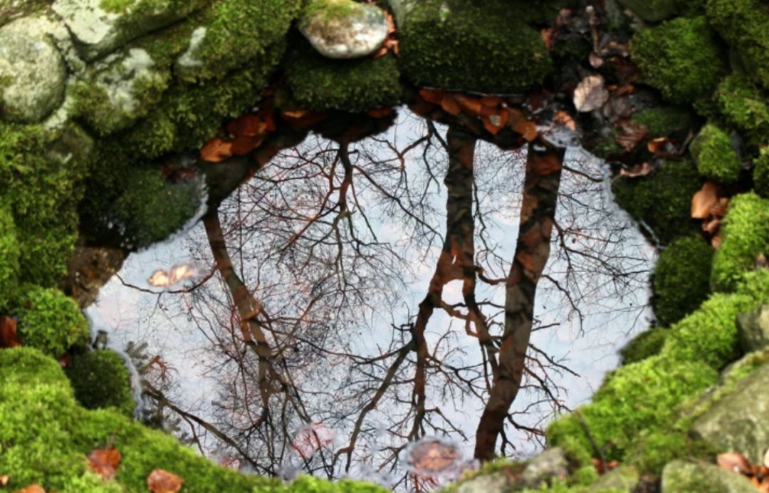 八卦鏡怎麼掛?如何正確使用八卦鏡?