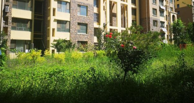 4、14、18層不 能買?很多人都搞錯了,真正不能買的是這4層!