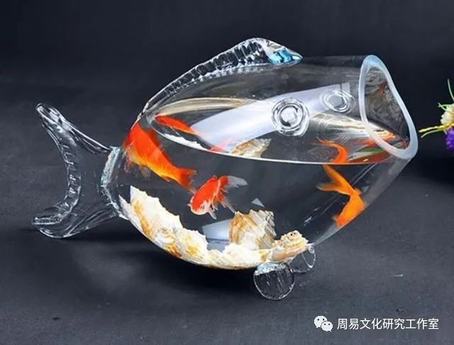 魚缸擺放的注意事項,「不近神,不靠背」,記好了!