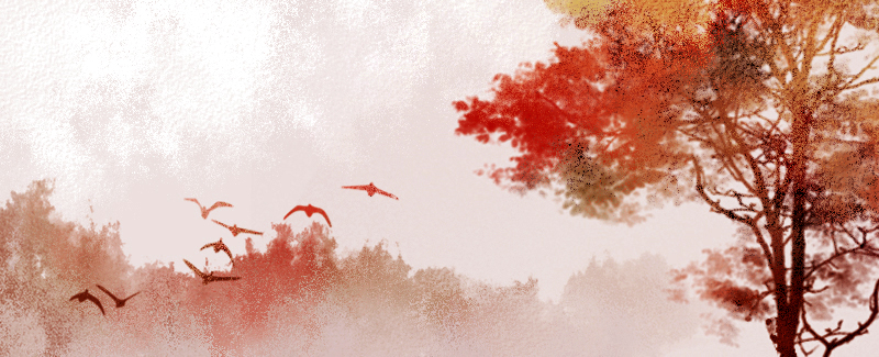 情人節送女朋友什麼花最好 不同顏色的玫瑰花語