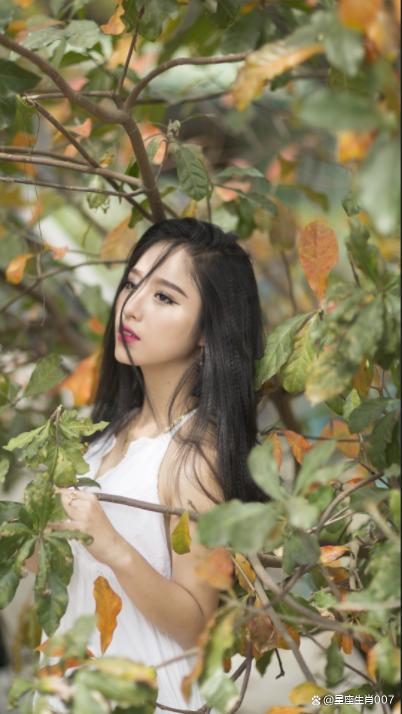 食傷泄劫生財，可以運用才智，獲得財富