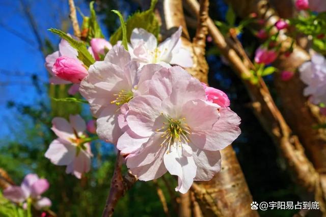 2023癸卯兔年到了,本命年的你還在相信穿紅嗎?