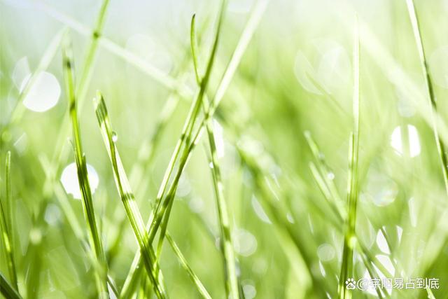 立春至丨癸卯黑兔拉開帷幕,你做好准備了嗎?