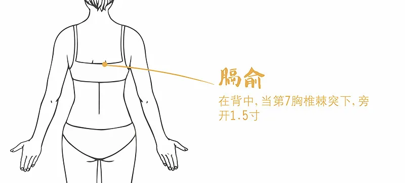 奇經八脈：精氣會聚的八個腧穴，可調全身！一定要記好！