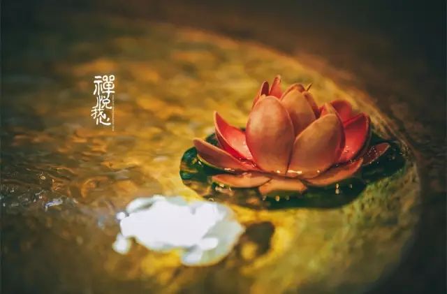 人的好運從哪裡來？照著做吧，准行！