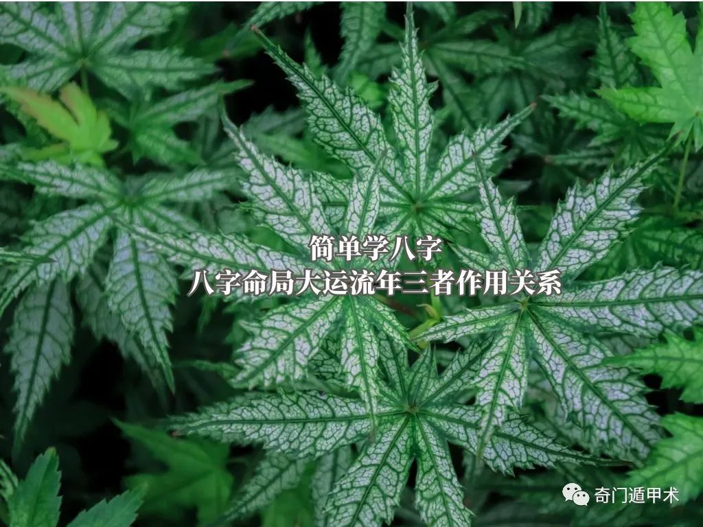 簡單學八字：八字命局大運流年三者作用關系