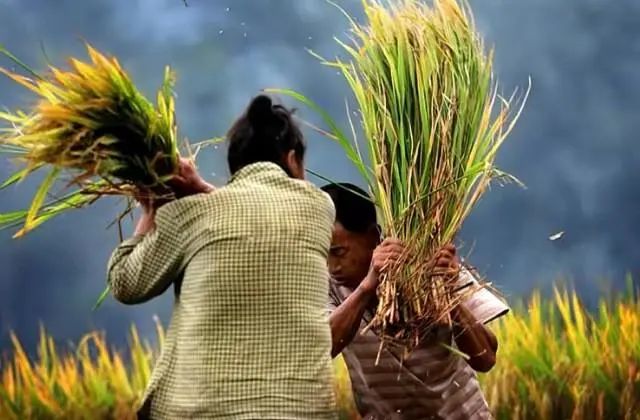 新的一年，做好這五事，財運自然旺！