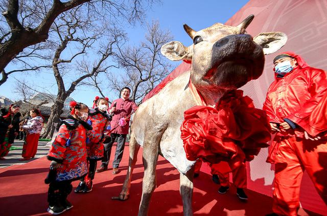 立春至丨癸卯黑兔拉開帷幕,你做好准備了嗎?