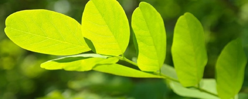 房子陰氣重的5個表現 怎麼看陰氣重不重