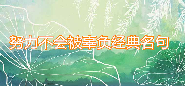 努力不會被辜負的名句精選