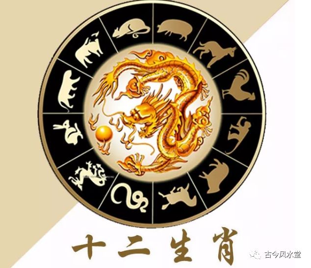 機靈聰明，婚後能享福的生肖女，日子比蜜甜