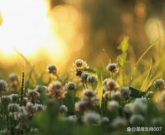 如何用八字识别感情上的渣男渣女