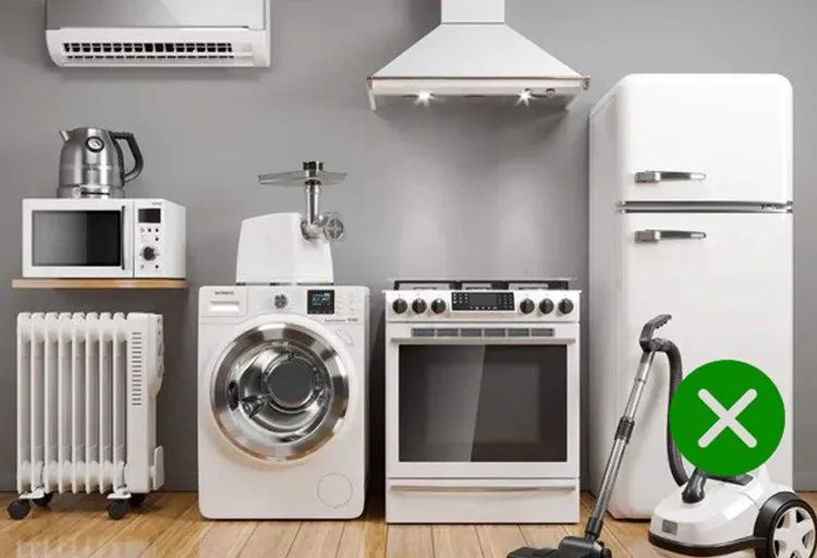 發財樹擺在哪裡好？