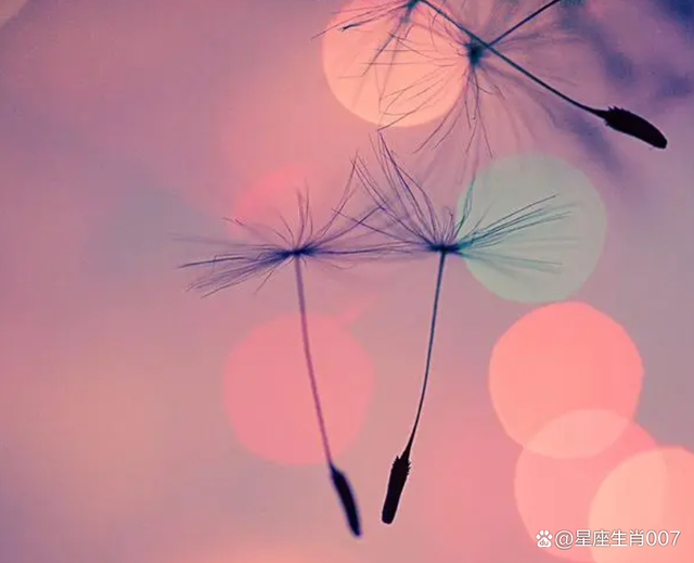 一路順從旺勢，印星為用，適合從事教育文化相關工作