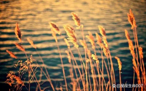 祖上無靠,父母沒太多幫助,對自己消耗多,要靠自己白手起家