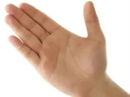 能夠富貴的手相特徵