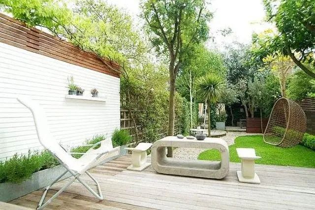 農村家家戶戶有庭院，最忌諱這種樹，壞風水！你家種了嗎