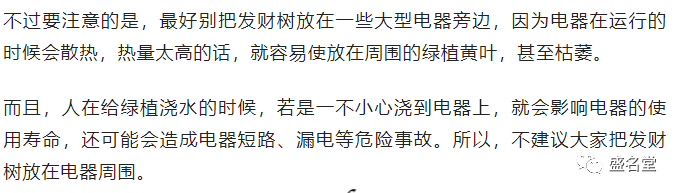 發財樹擺在哪裡好？