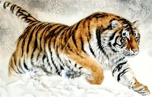 1月中旬開始，屬相虎事業青雲直上，橫財賺千萬，穿金戴銀！