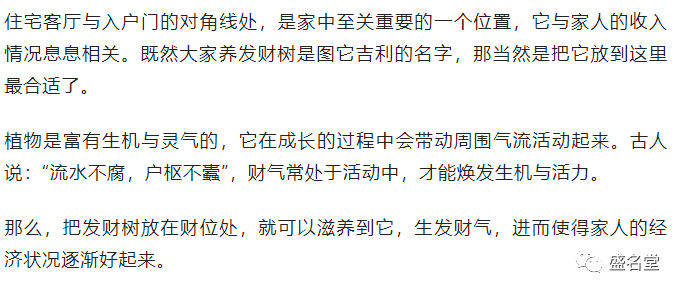 發財樹擺在哪裡好？