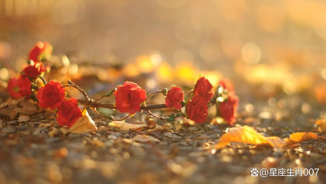 父母反对我们的婚事，是命中注定还是阴差阳错