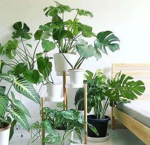 風水說:導致孩子叛逆的風水有哪些?