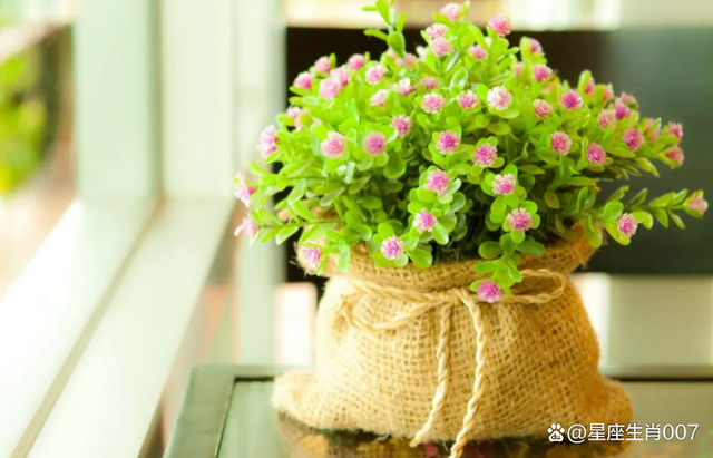 一路順從旺勢，印星為用，適合從事教育文化相關工作