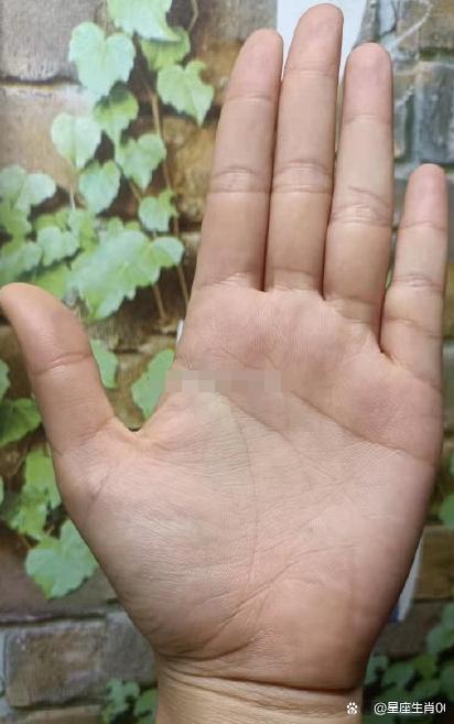 事業運不穩定,難在一個平台長期發展,財運不穩定