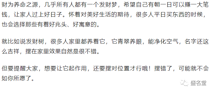 發財樹擺在哪裡好？