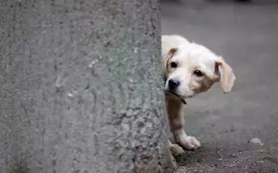 出門碰見這幾種情況,運勢不衰反增