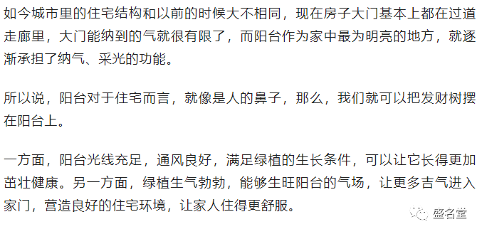 發財樹擺在哪裡好？