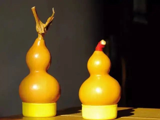 風水可用葫蘆調!你知道嗎?