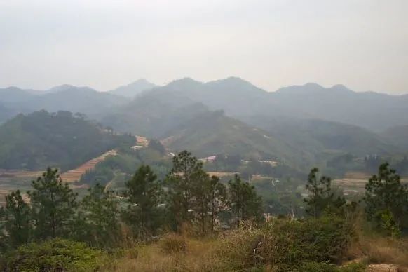 什麼是龍脈的開帳與過峽？