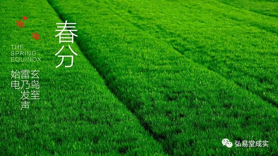 今日迎來:二十四節氣——春分