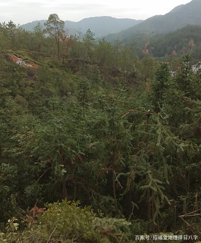 紫微壇列宿